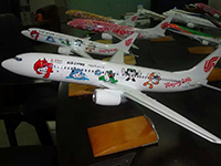 Plane Model