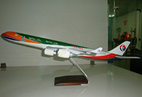 Aircraft Model